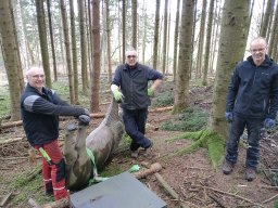 IMG_20240302_144126381